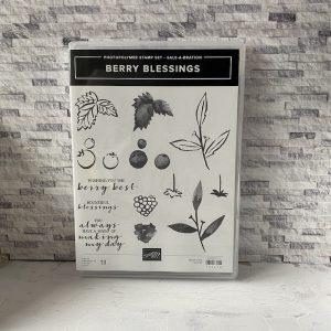 155276, berry blessings, stampin up, stampin treasure, tweedehands, retired, sale a bration